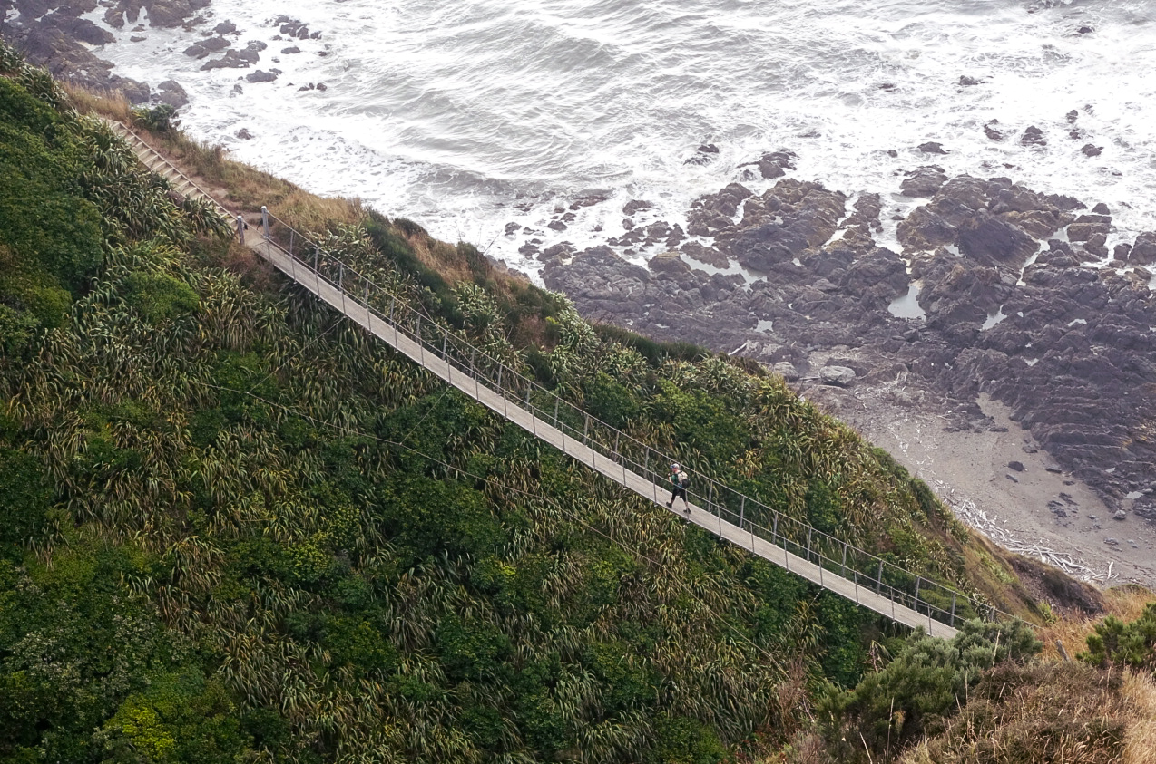 A massive suspension bridge along the Escarpment Track photo/ Jonathan