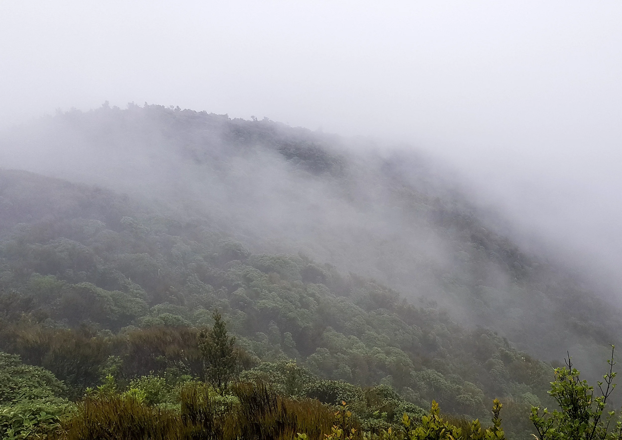 Heavy mist on day #1 in the Tararuas photo/ Jonathan
