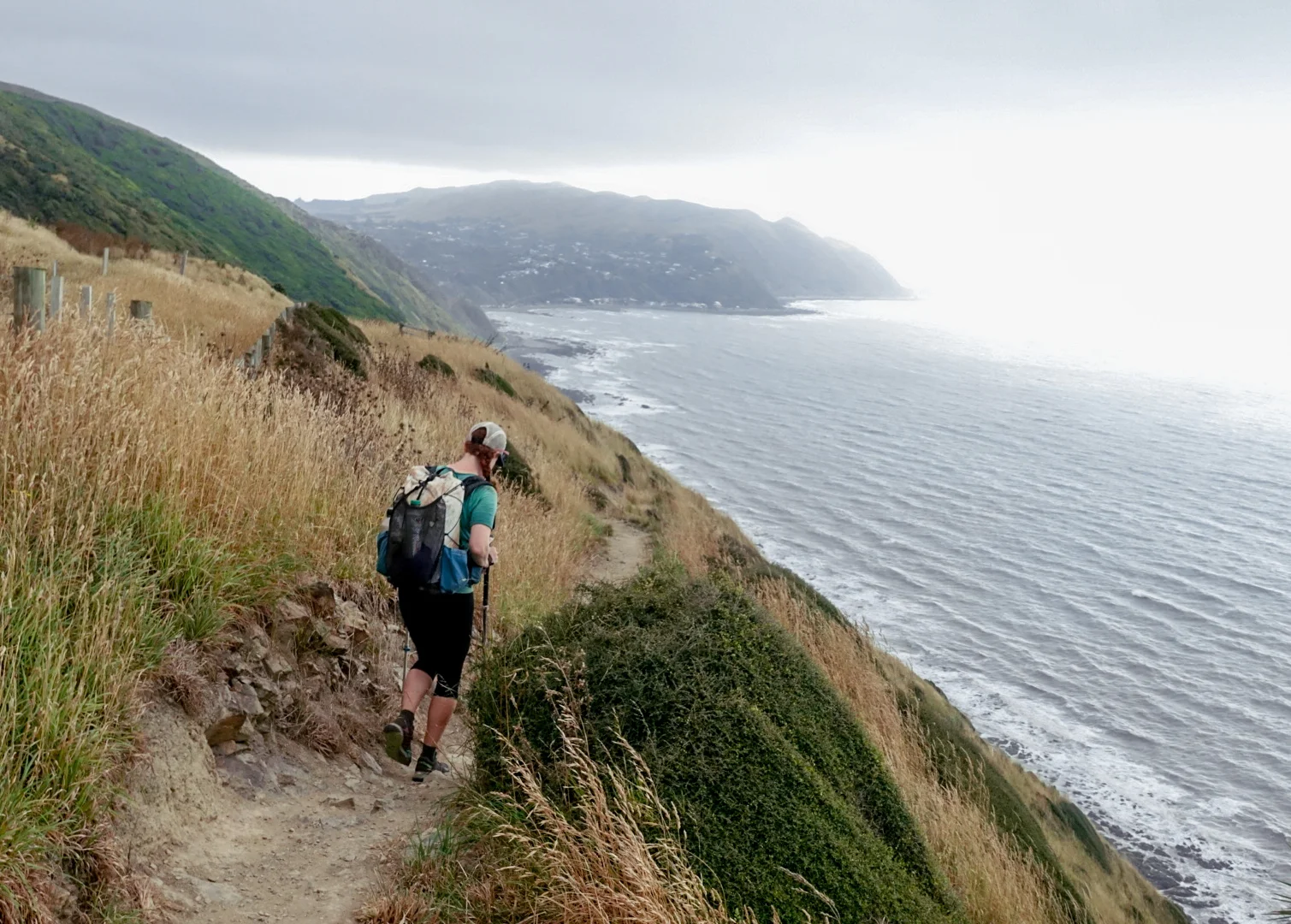 Ocean views from the Escarpment Track coastal walkway near Paekakariki photo/ Jonathan 