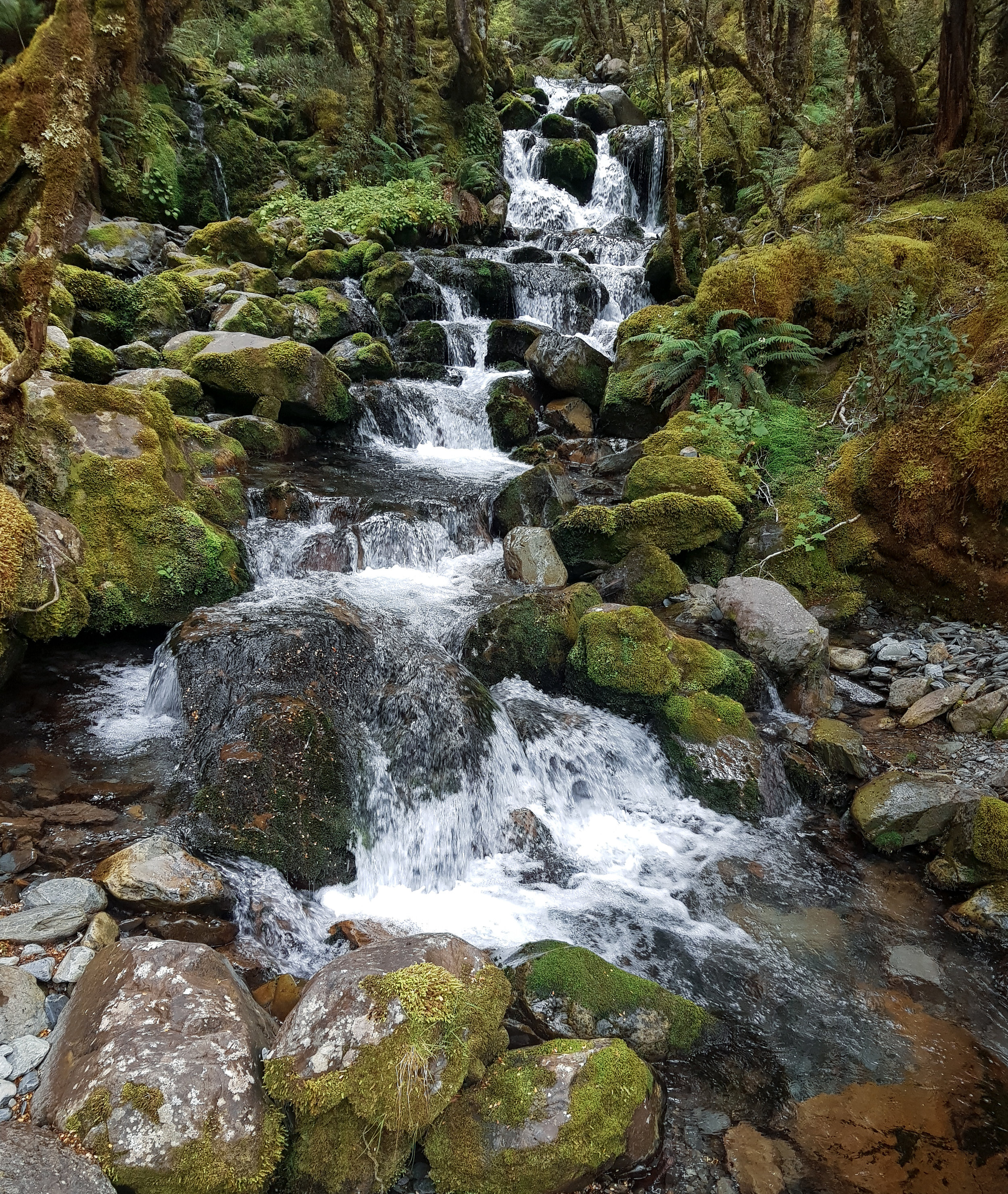 Cascades spilling down toward the trail photo/ Jonathan 