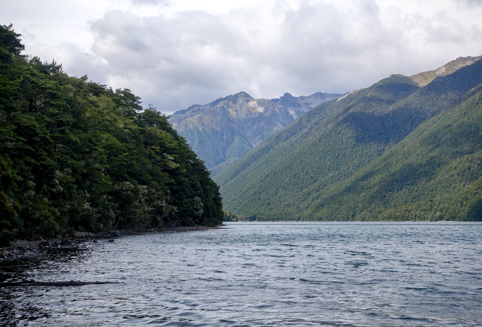 Looking up Lake Rotoiti photo/ Jonathan 