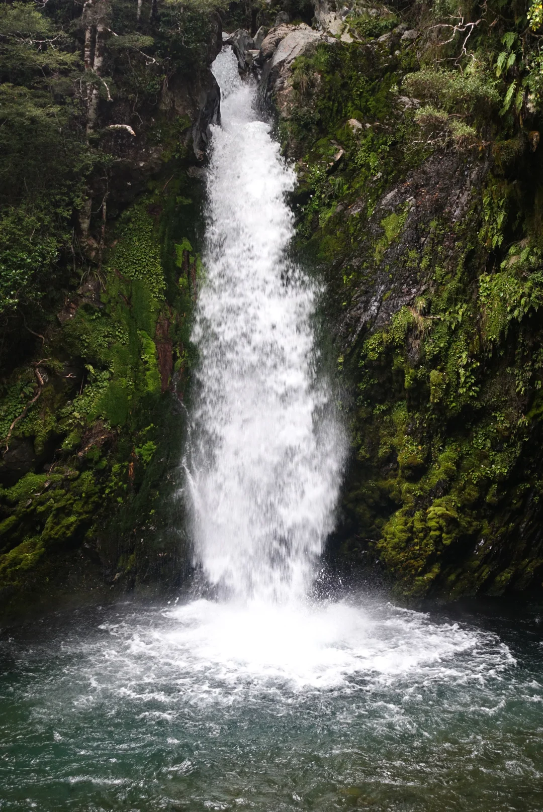 Travers Falls, 65 ft photo/ Jonathan 