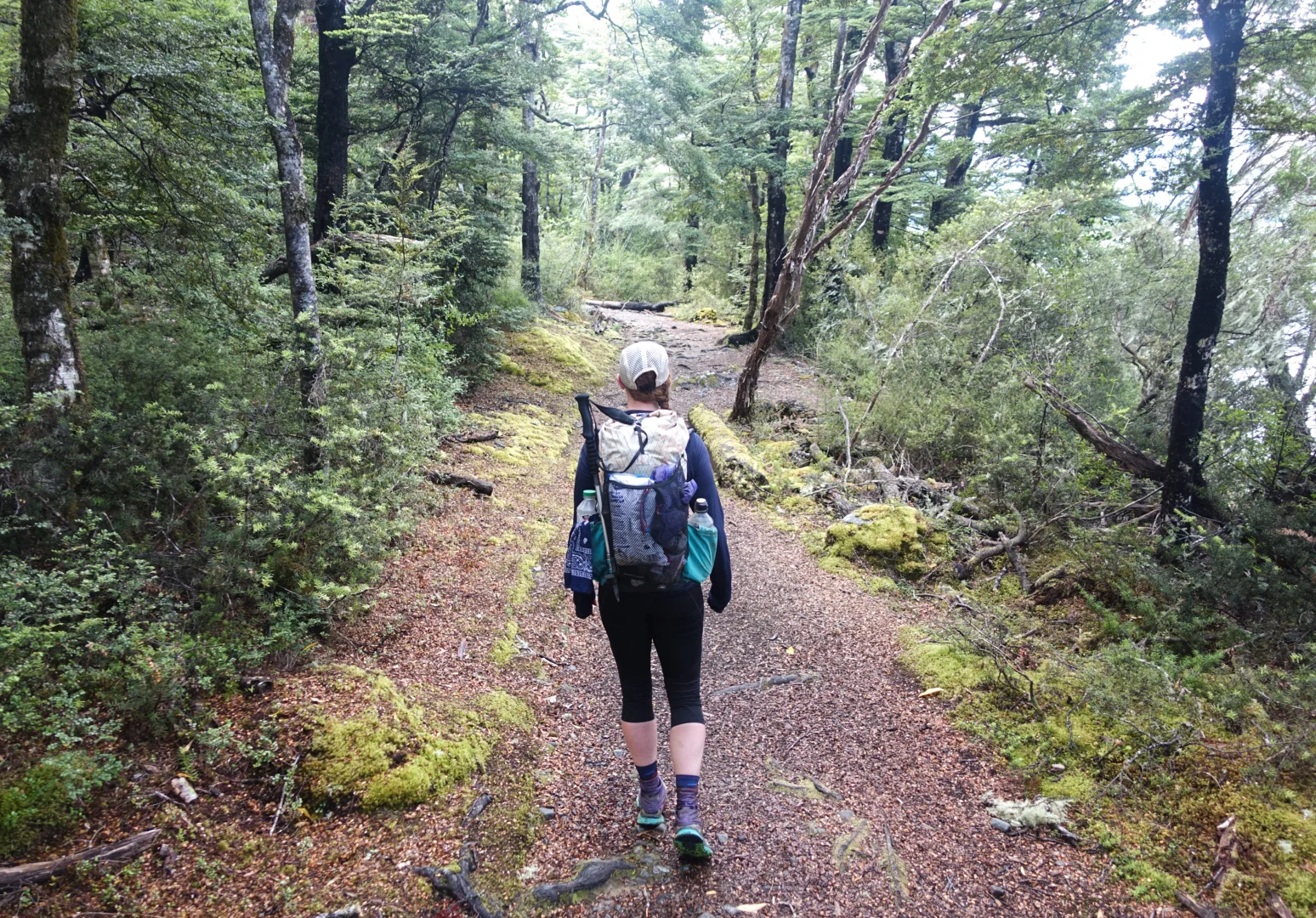 Soft lakeside trail covered in tiny beech leaves photo/ Jonathan 