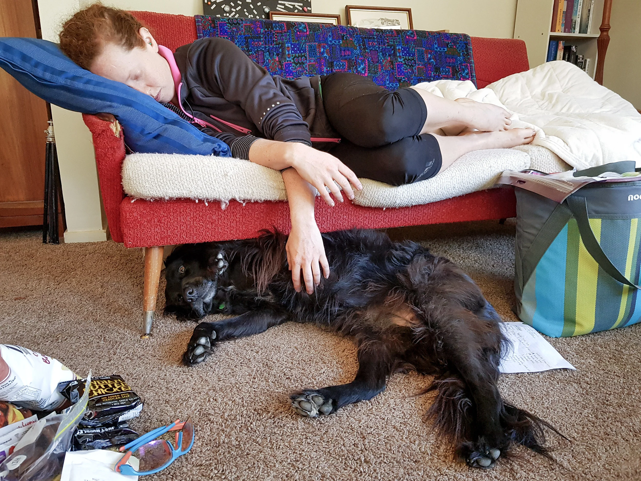 The pup, Ella, was very helpful during recovery time, though she was decidedly not supposed to be indoors. I'm very sorry for being a bad influence on the floof. photo/ Jonathan 