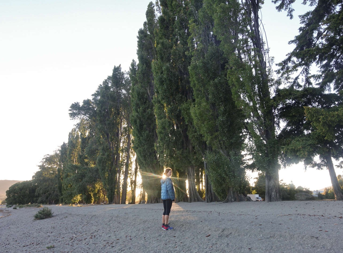 Perfect morning light on the shores of Lake Wanaka photo/ Jonathan 