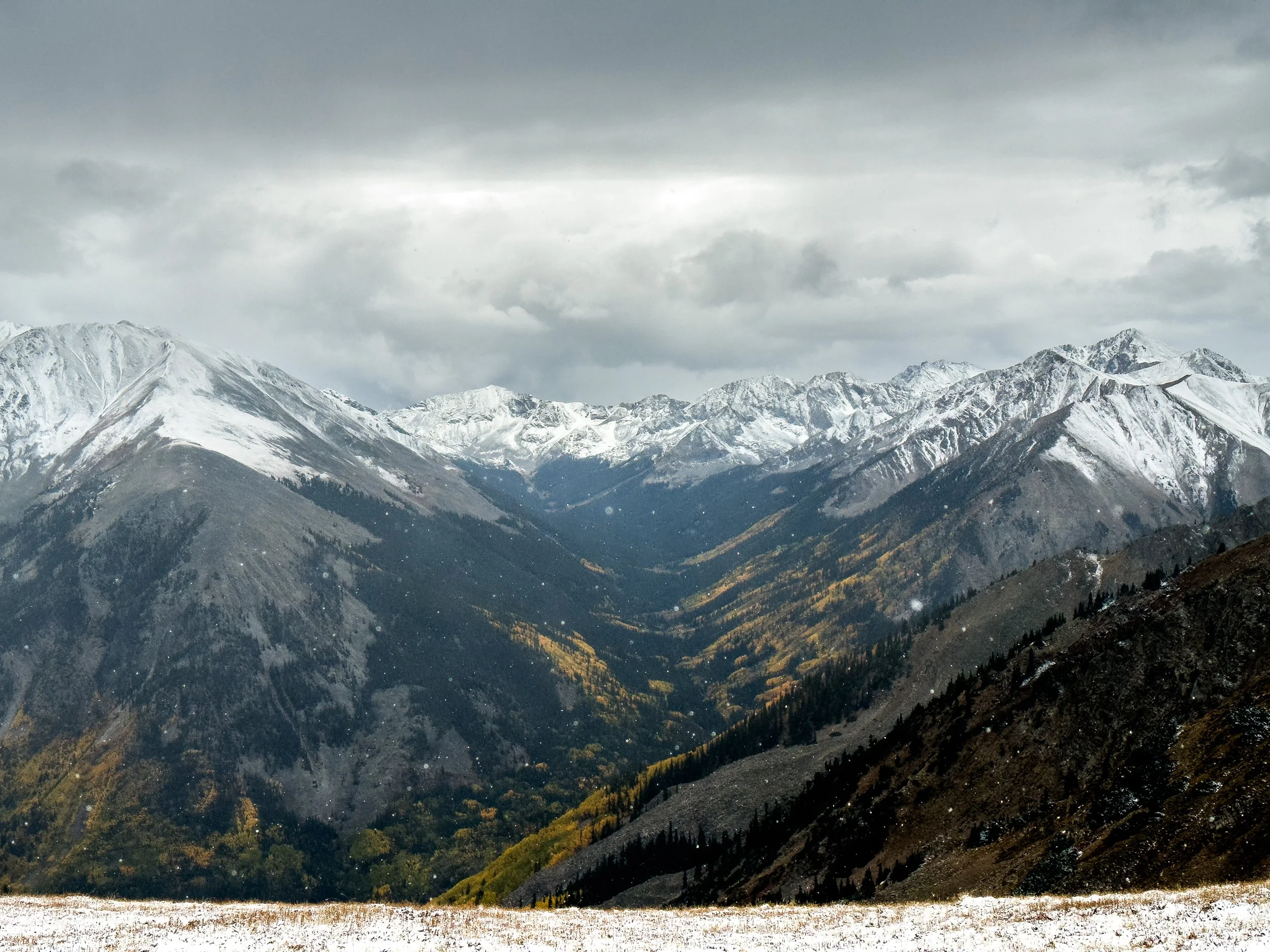 Fall Colors in Central Colorado