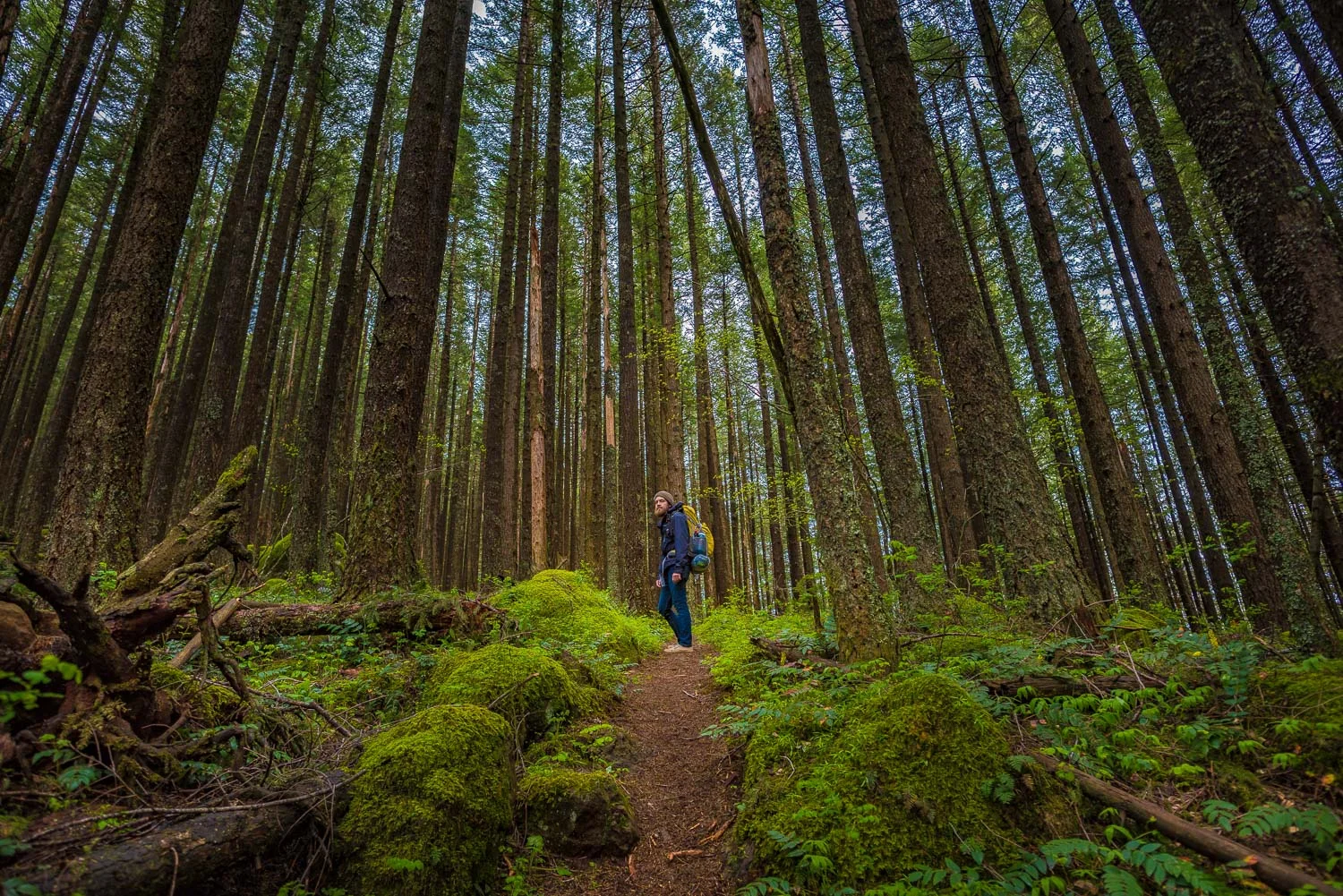Seven Wonders of Oregon- Columbia River Gorge, Oregon