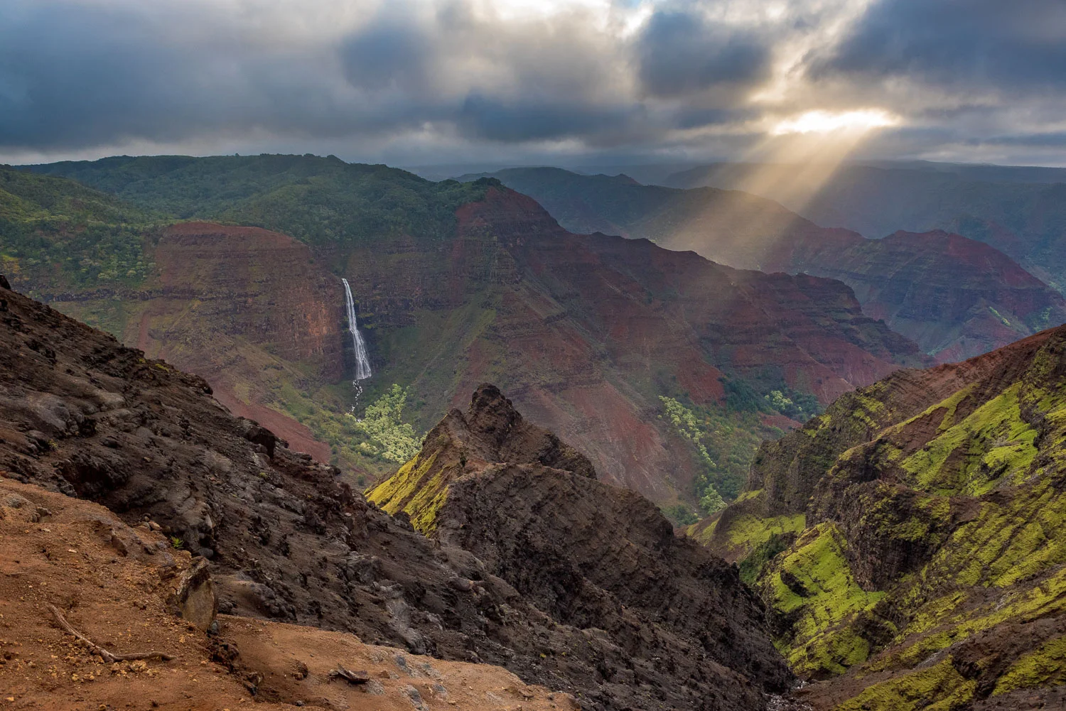 Kokee State Park- Kauai, Hawaii