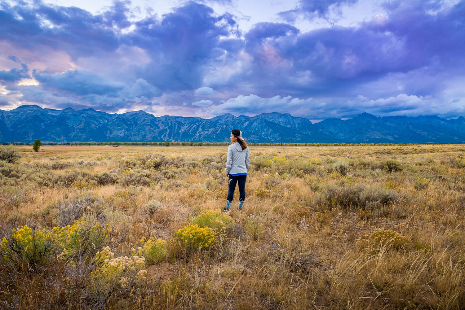 Jackson Hole, Wyoming