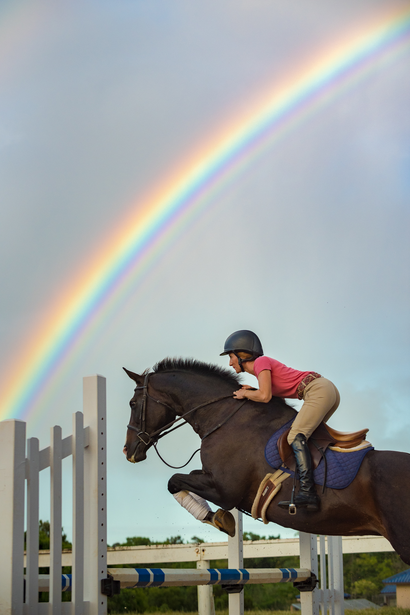 Hana Hou! Magazine on Garden Isle Equestrian