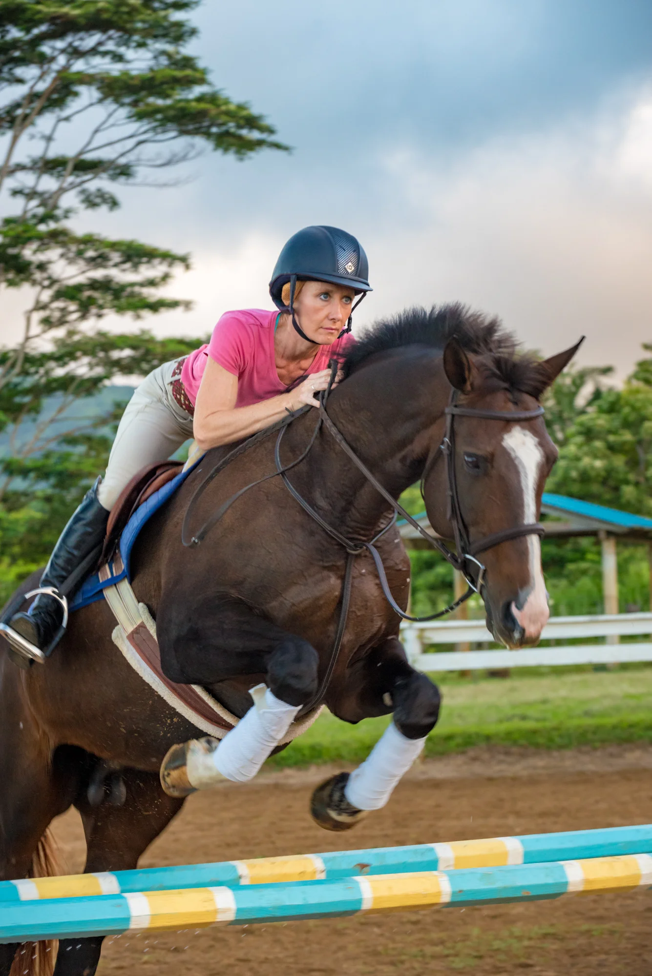 Hana Hou! Magazine on Garden Isle Equestrian