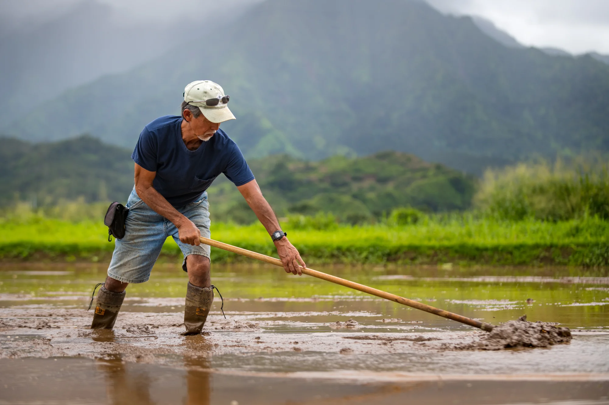 Hawaii Business Magazine on Hanalei Taro & Juice Co