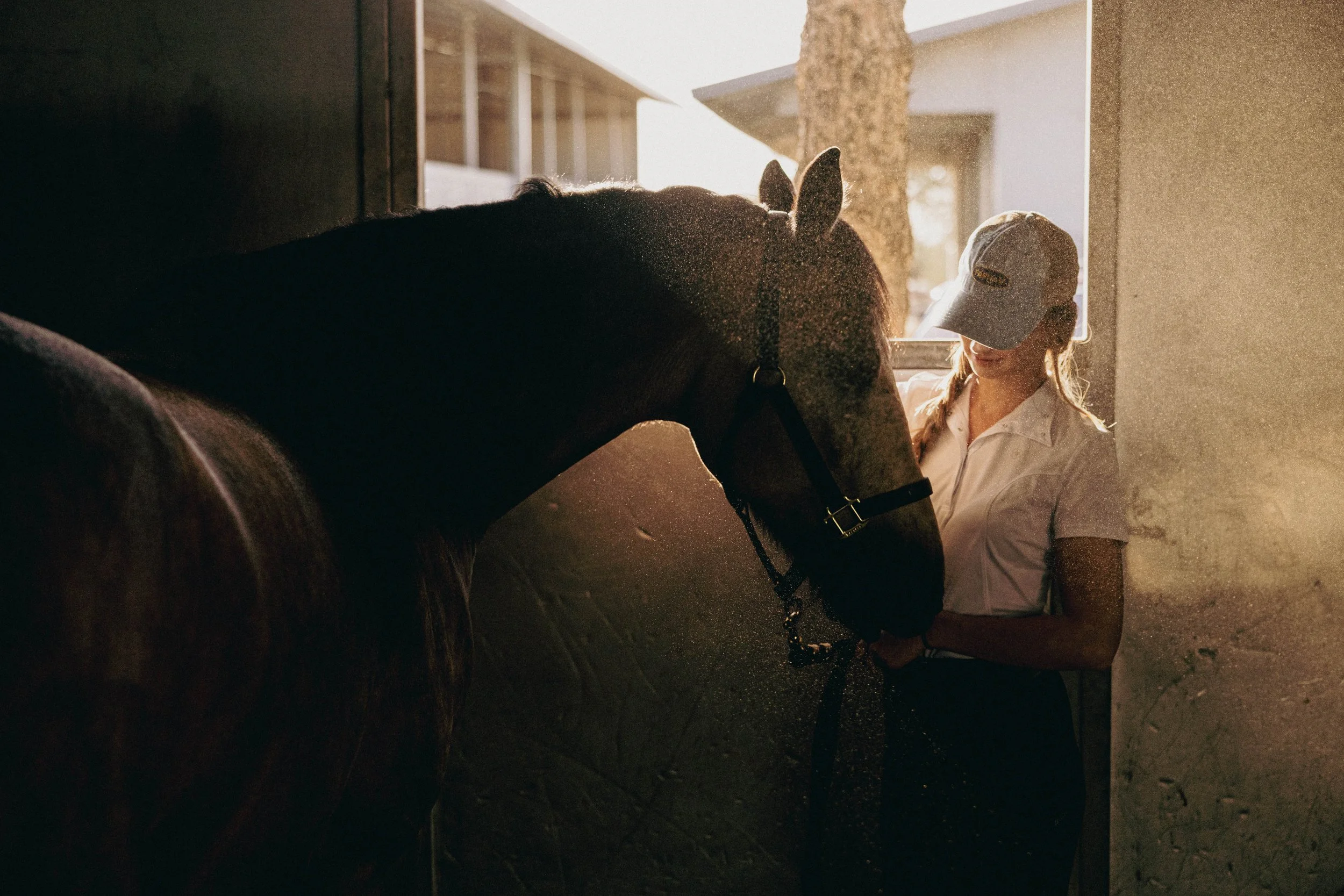 A woman in a white cap and polo shirt stands next to a dark horse inside a stable, with sunlight coming through an open door behind them.