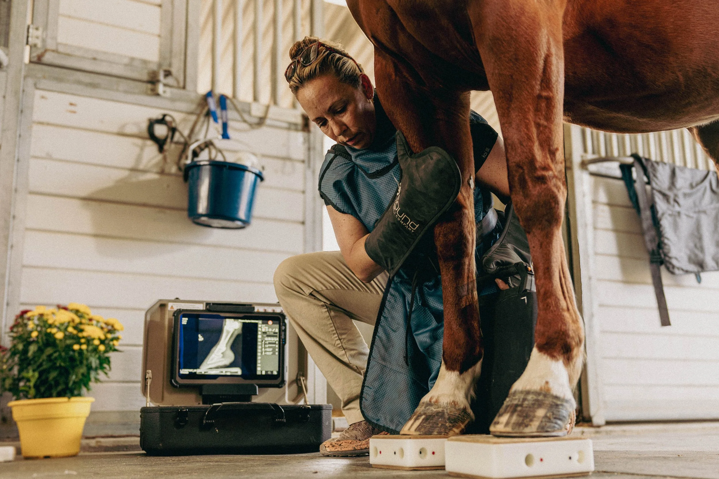 Veterinarian examining a horse's leg with an ultrasound device in a stable.