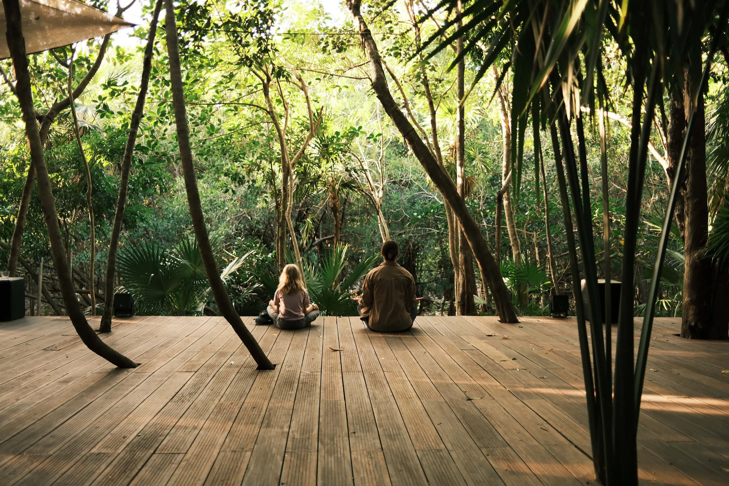 A person and a child sitting cross-legged on a wooden deck in a lush, green forest, facing away from the camera.