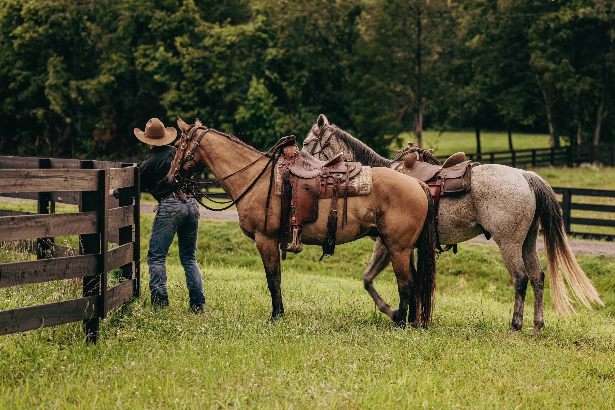 A person in a cowboy hat and jeans with two saddled horses on a grassy field near a wooden fence, with green trees in the background.