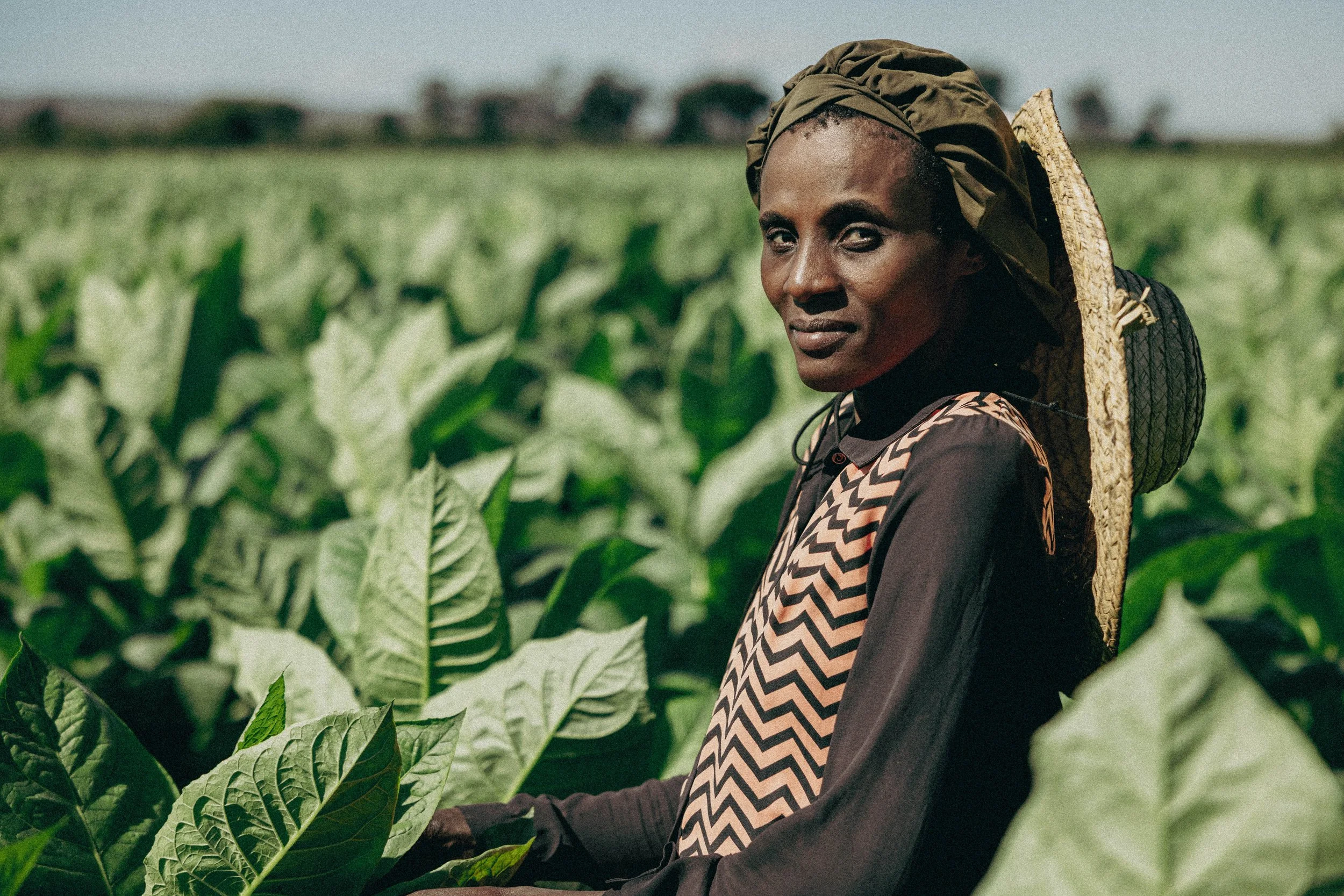A woman with dark skin, wearing a headscarf and patterned dress, standing in a lush green plant field.