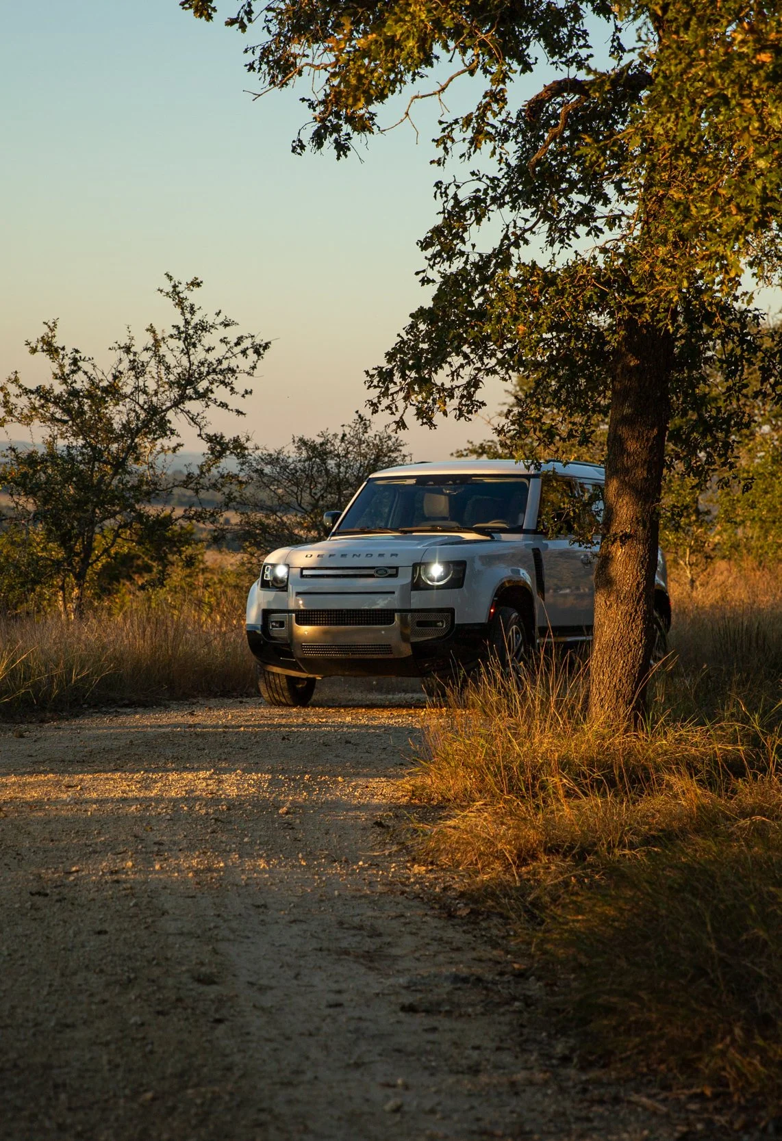 A white Land Rover Defender off-road vehicle parked on a dirt path amidst trees and tall grass during sunset.