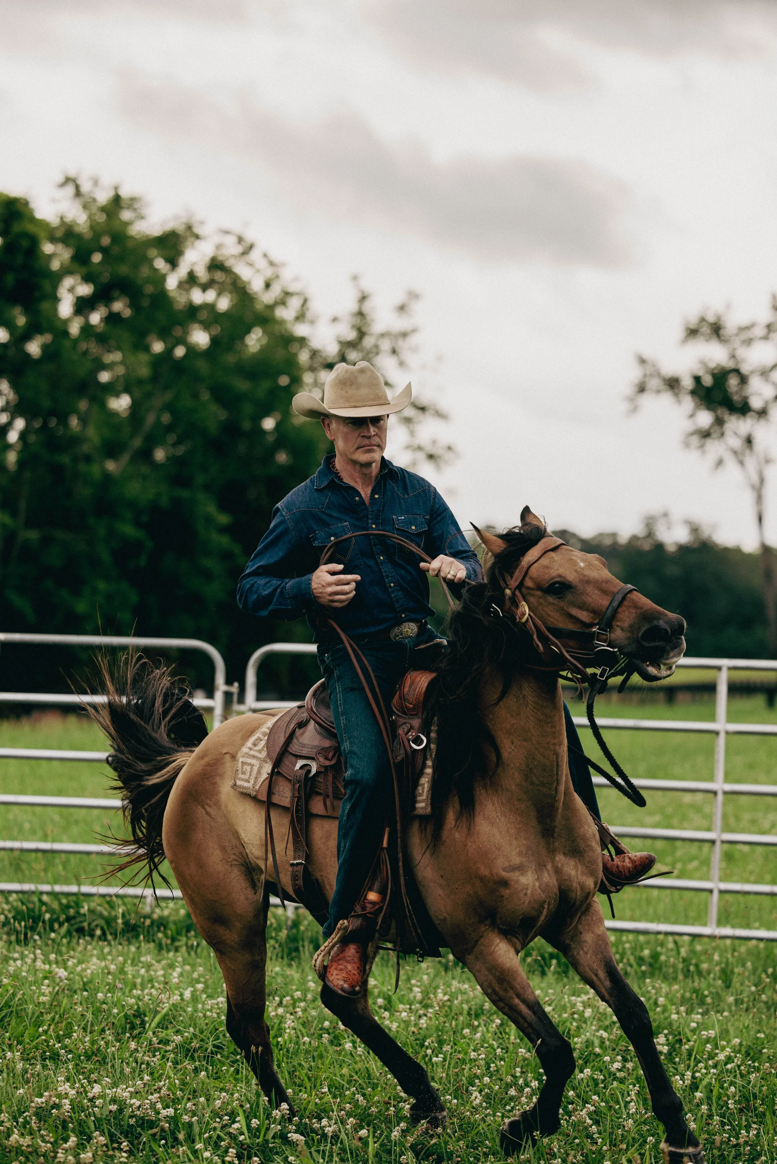 A man in a cowboy hat and blue denim shirt riding a bucking brown horse in a fenced outdoor area with green grass and trees in the background.