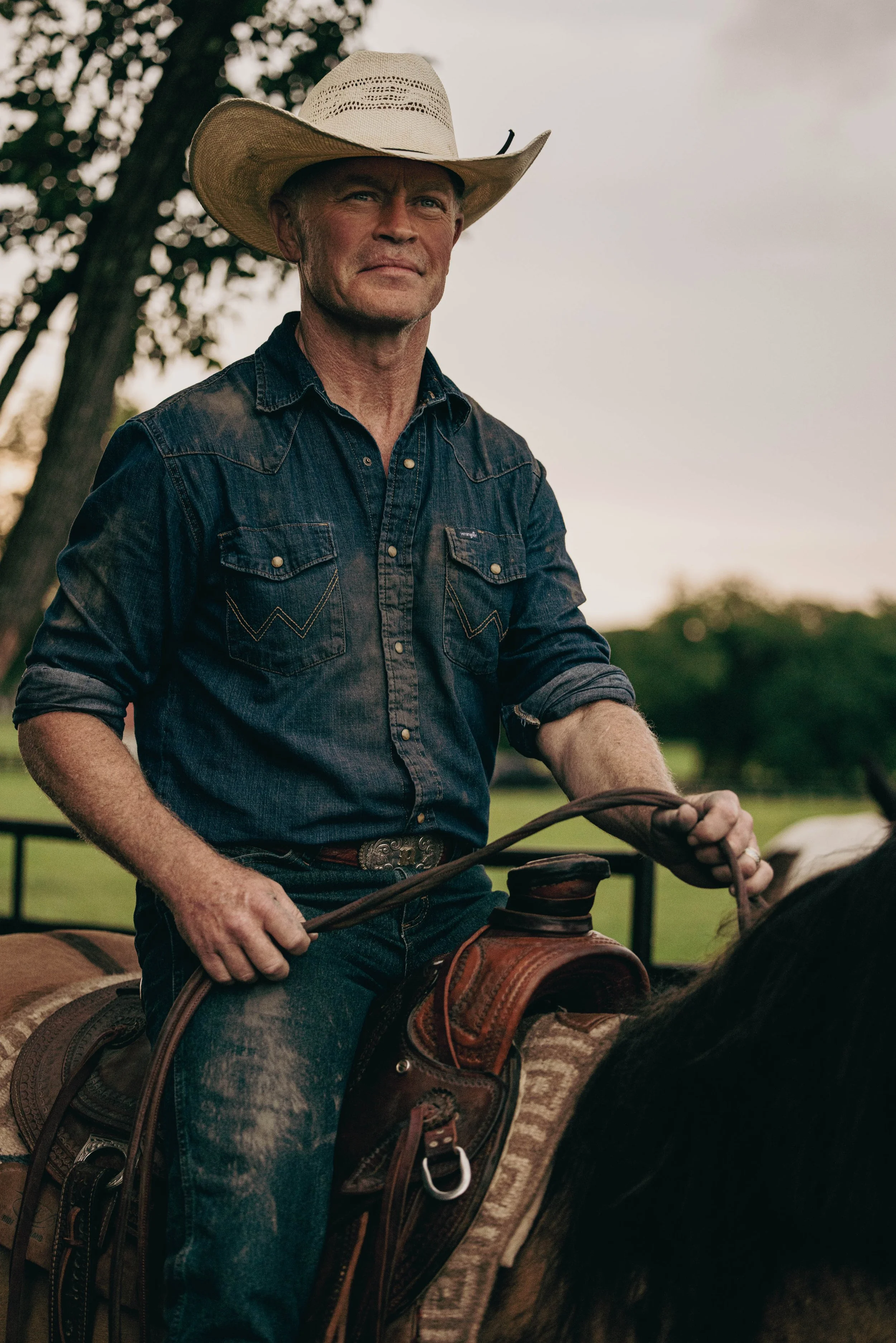 A man wearing a cowboy hat and a denim shirt sits on a horse, holding the reins, outdoors during daytime.