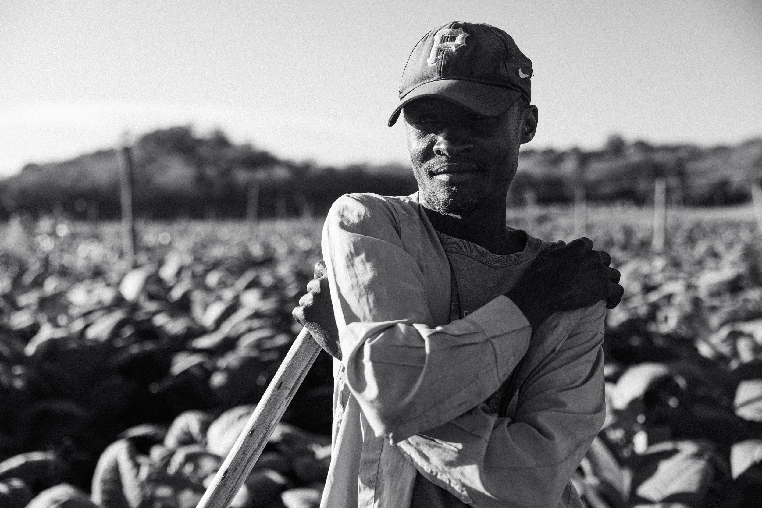 A man with a cap and long-sleeve shirt standing in a field, holding a hoe, with his arms crossed over his chest, looking to the side in black and white.