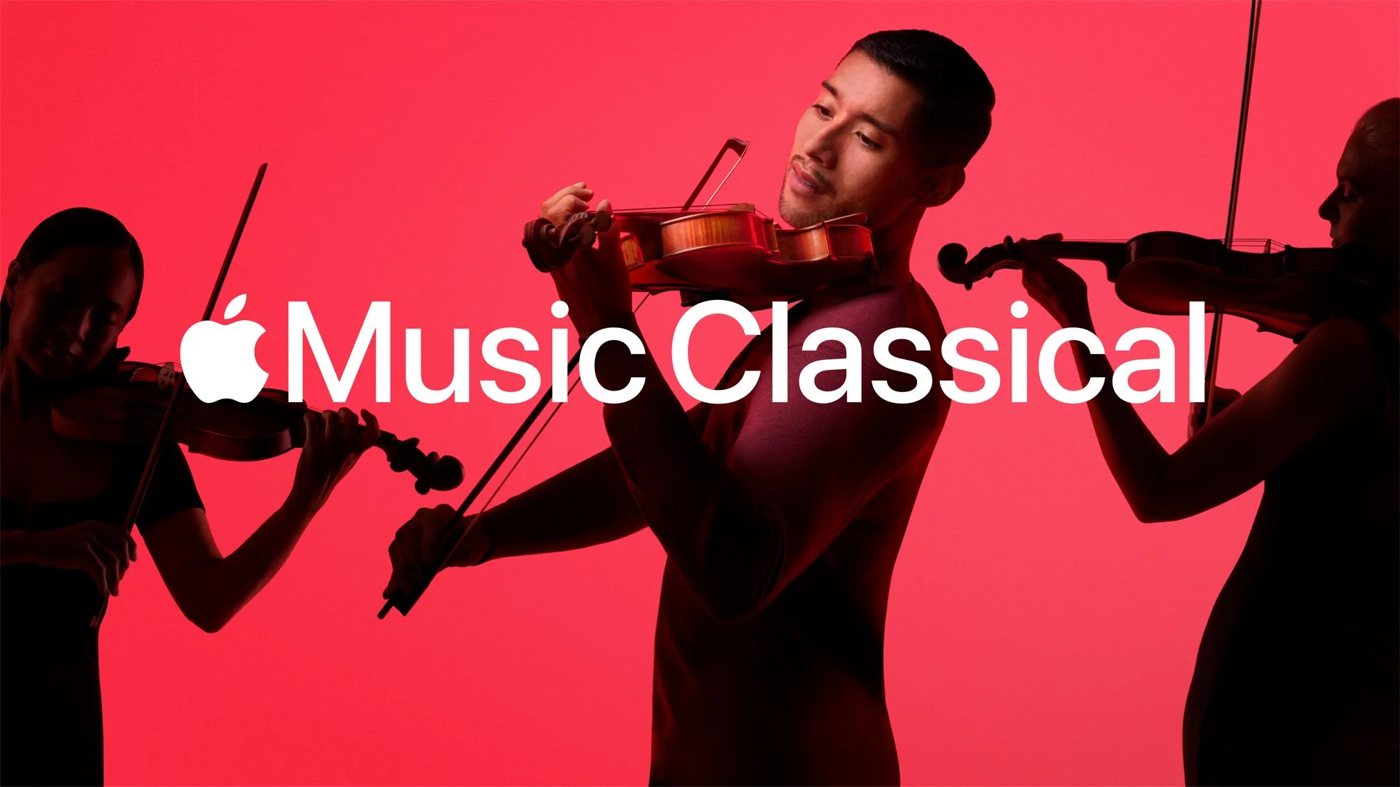 Violin Group Display