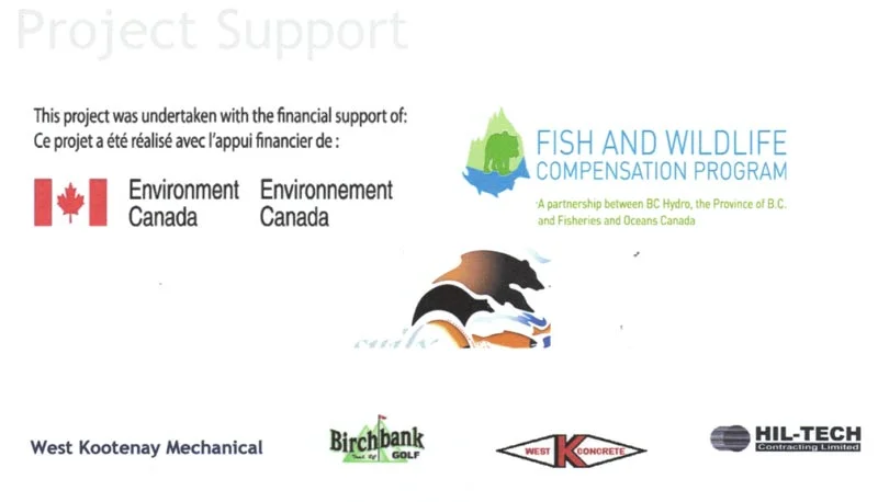 Project-Support.jpg