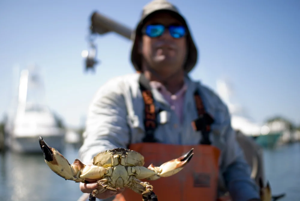 Crab Fisherman.jpg