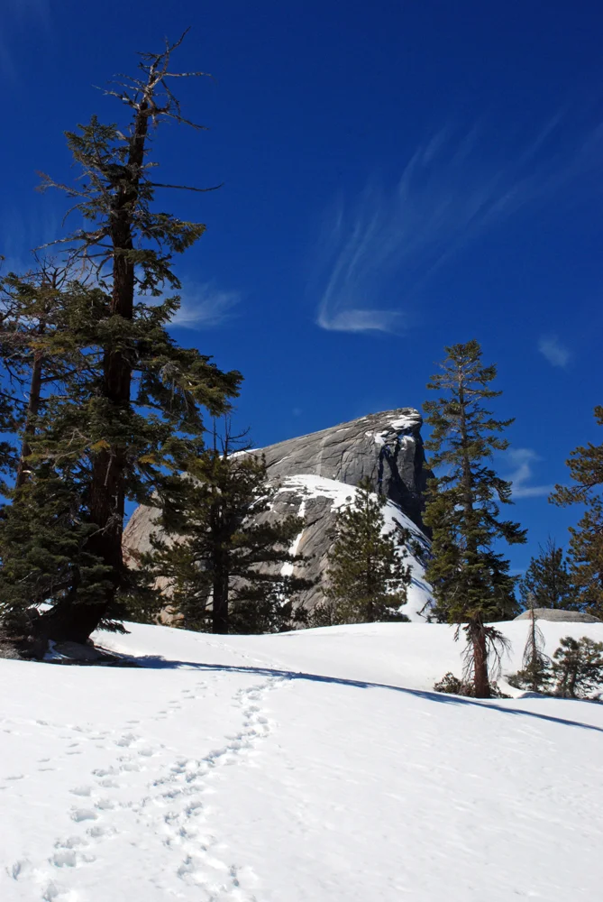 DSC_0014.jpg