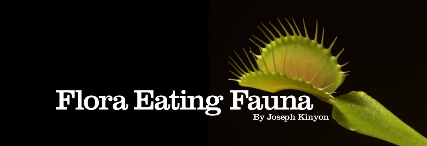 Read Flora Eating Fauna on Know Journal