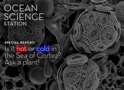 Ocean Science Station Cortez.png