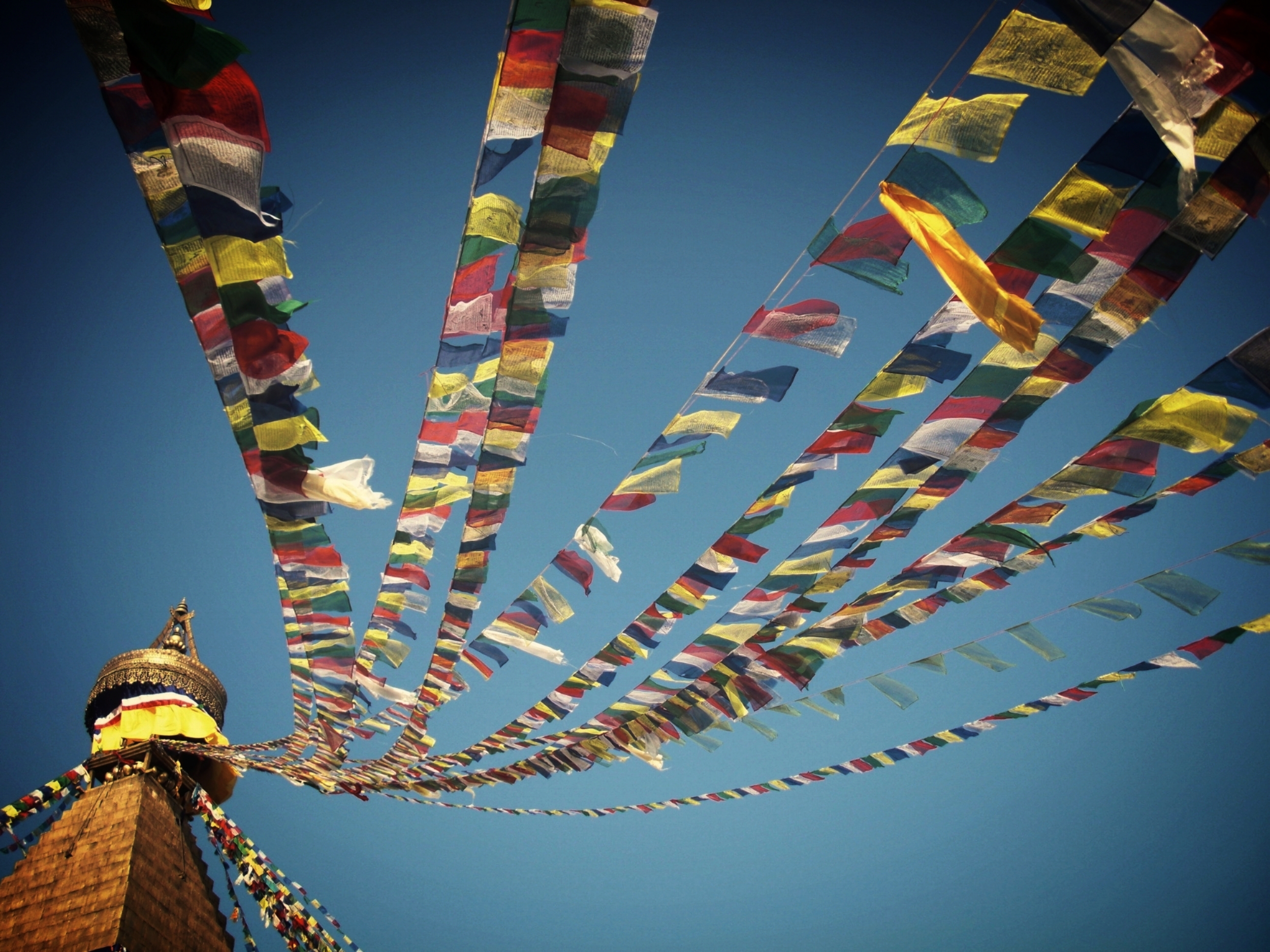 Copy of CIMG2013.JPG