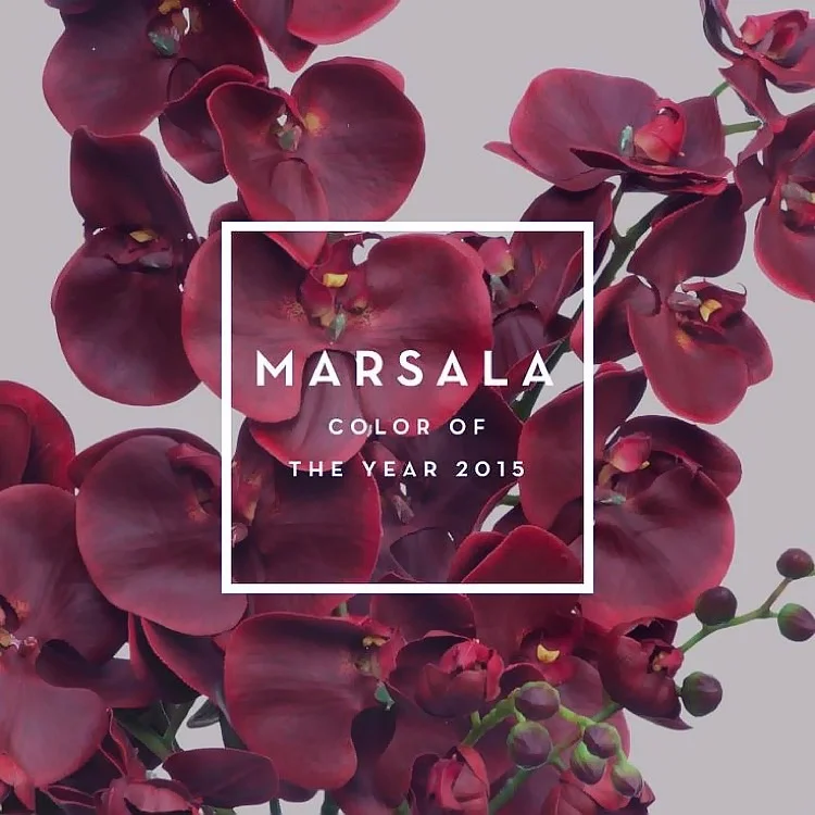 Marsala-Colour-Candy-Image-Source-.jpg