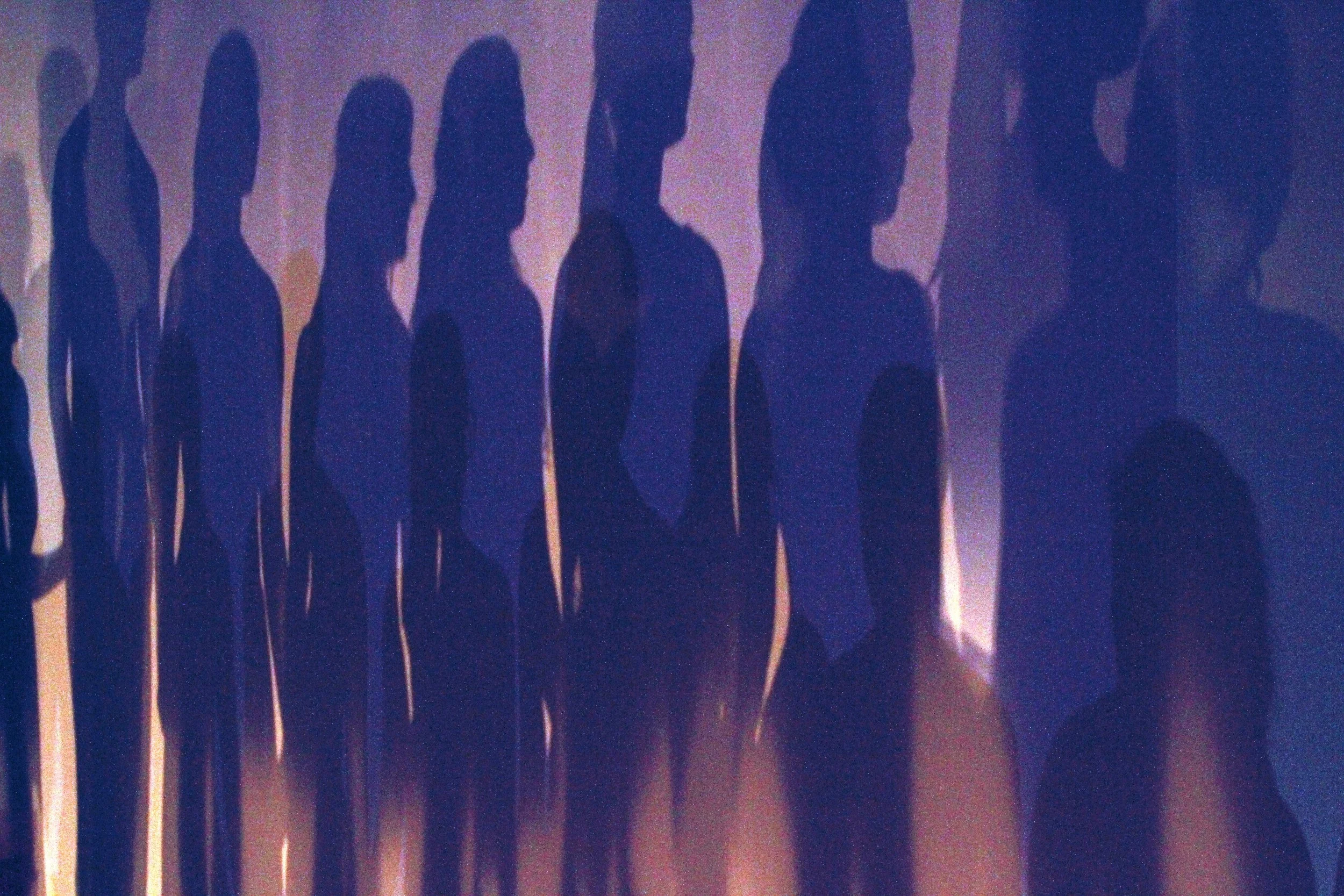 Le Fil (2012)