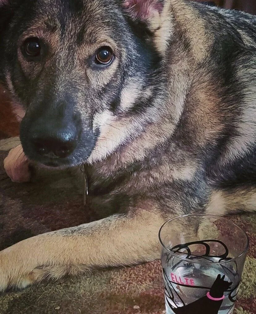 8017EE91-3B06-464D-84FB-3D9644C60FE3