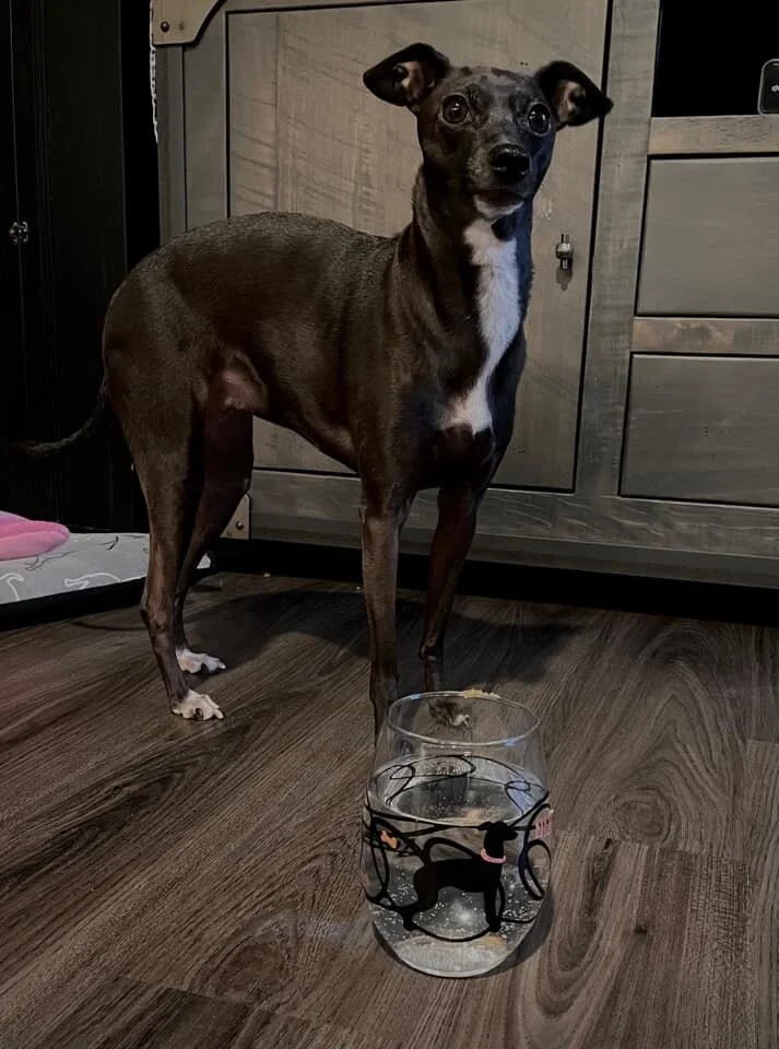 E562579F-D45A-46C1-9870-D68145C444E8