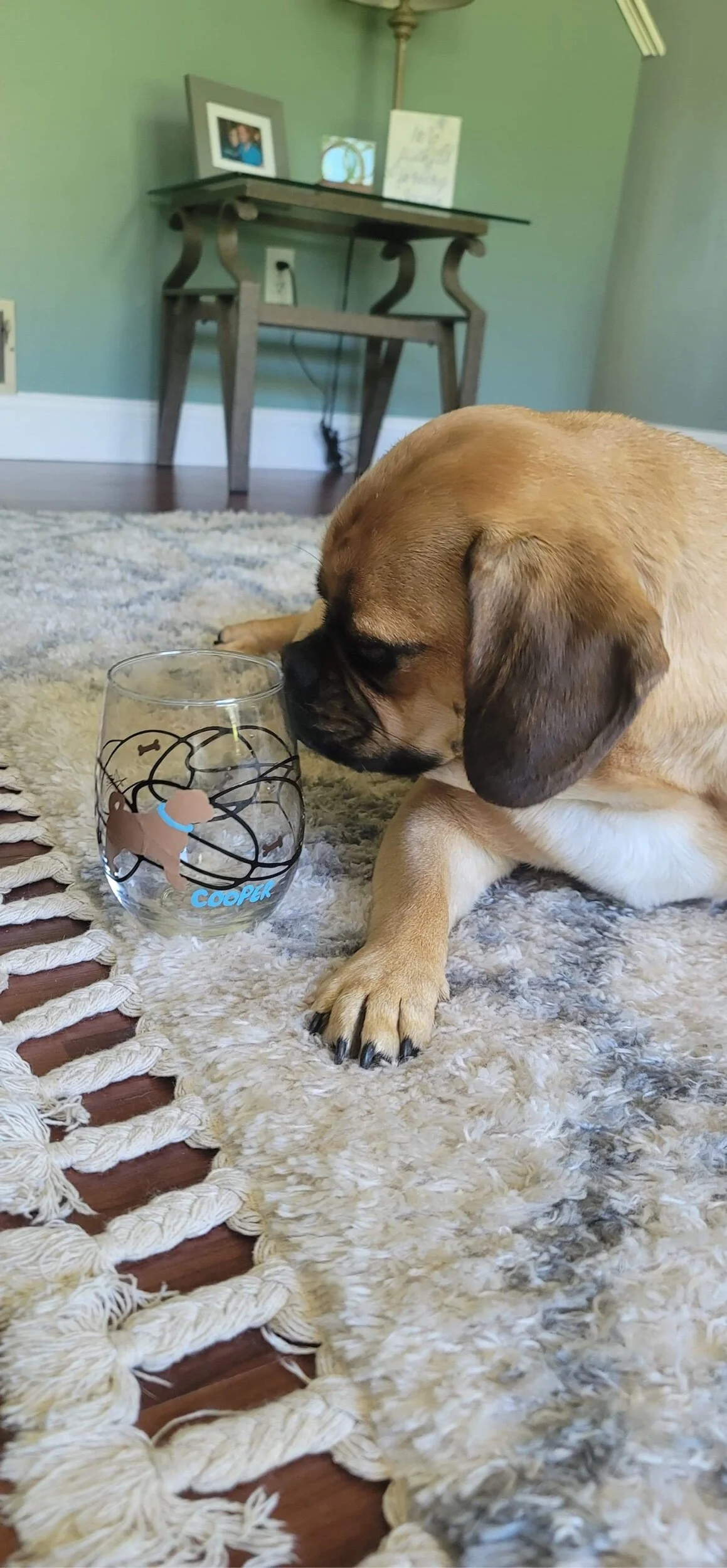 2CEB4461-6C9D-413E-9873-2799624044CE