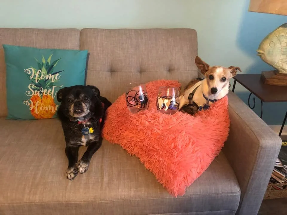 53F48FFD-F7CD-4E86-97DC-F9CB8B5466A8