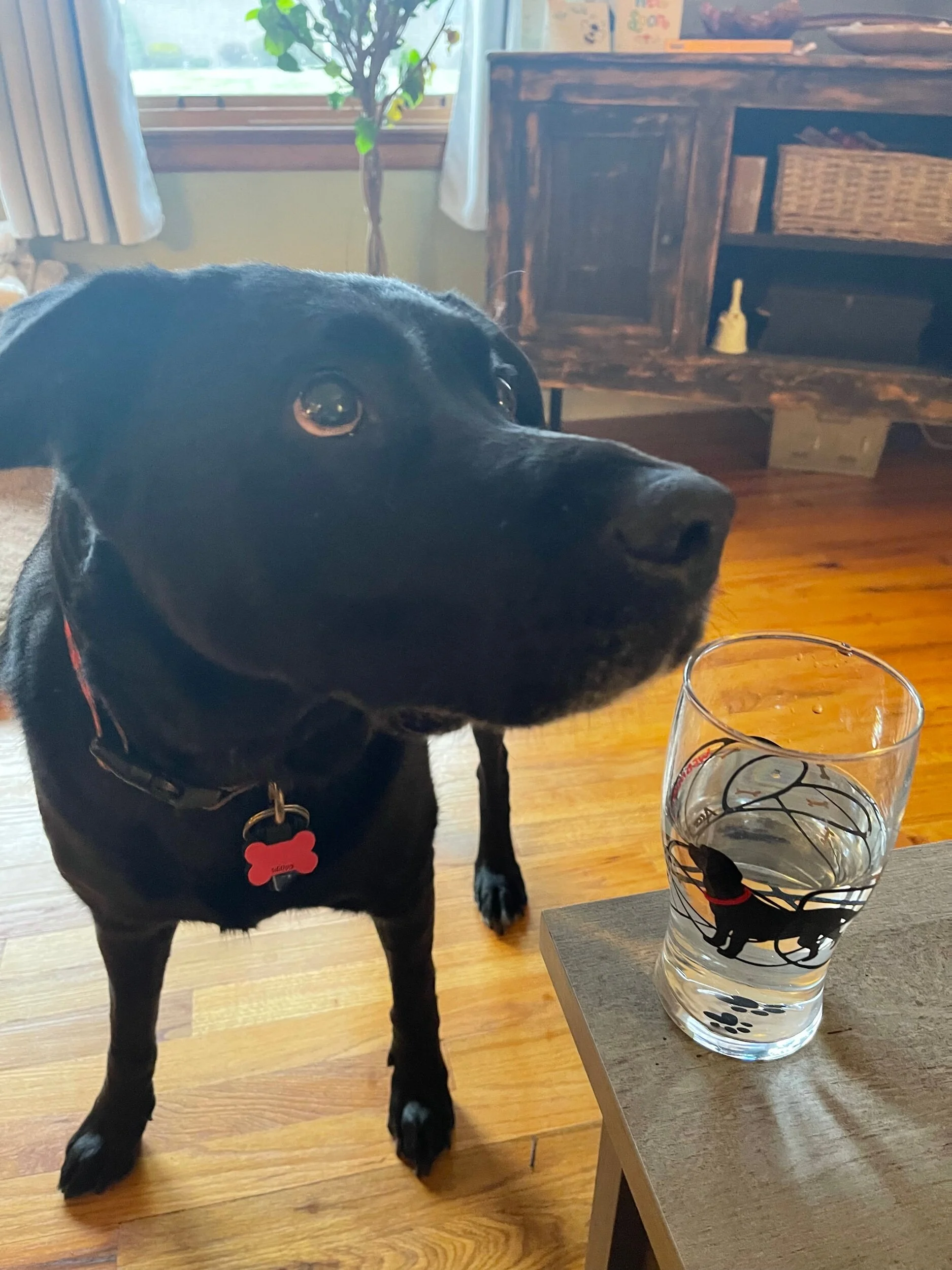 41FDF828-2D2A-4BFA-BED4-D9CFF97A226A