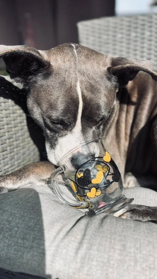 Photo Apr 16 2026, 16 43 33 (5).jpg