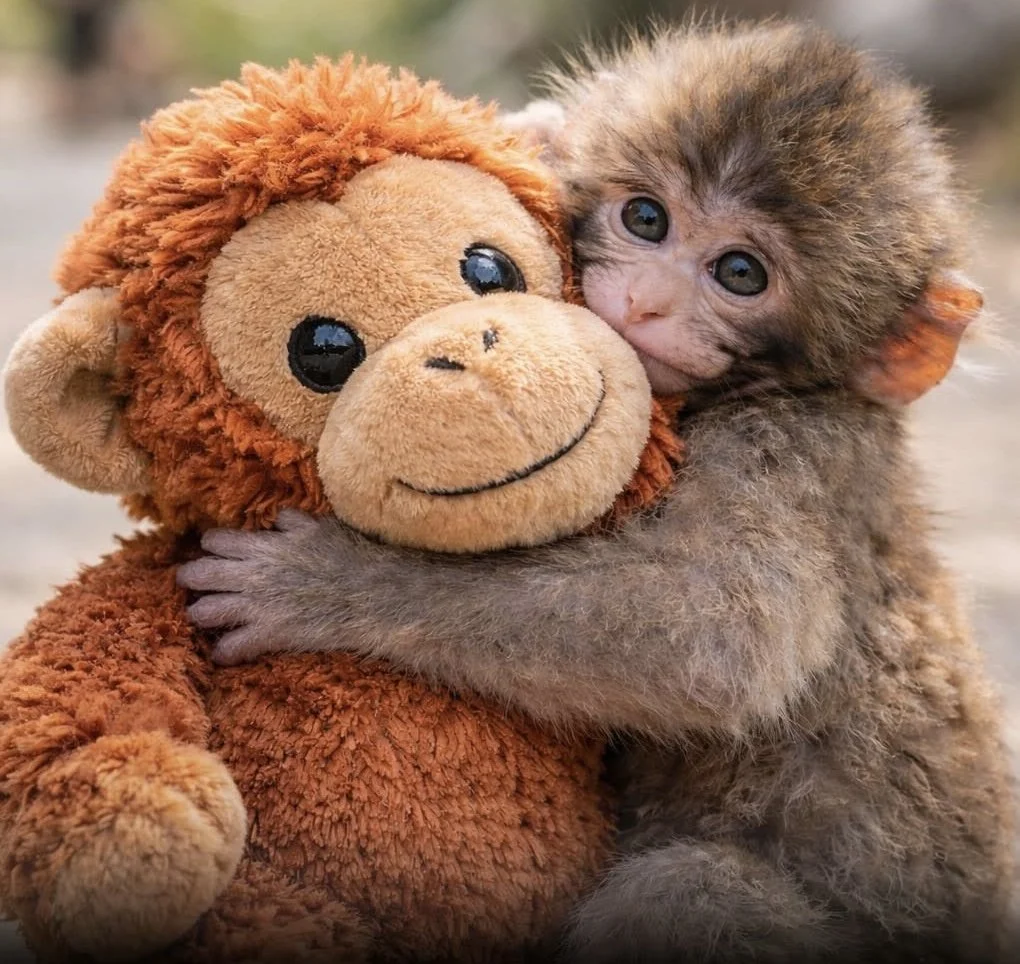 Photo Feb 26 2026, 10 22 11 (1).jpg