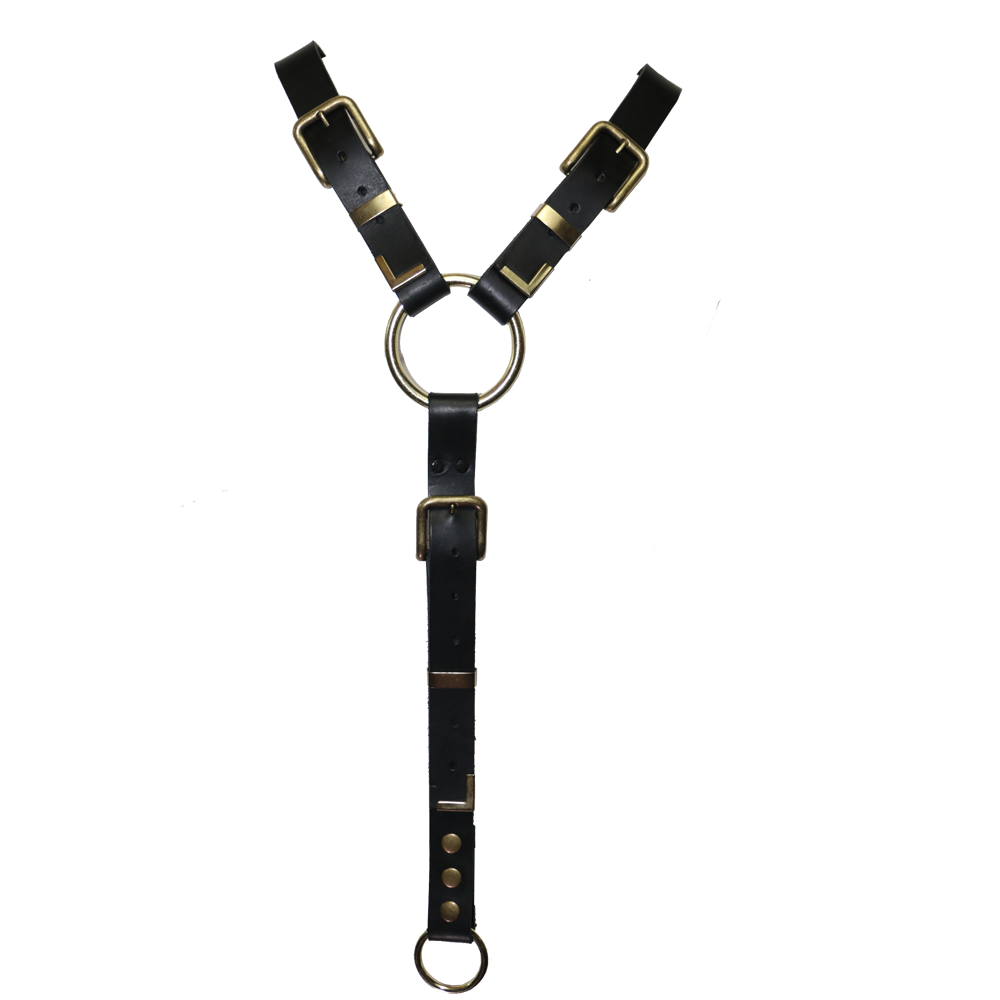 Y Harness.png