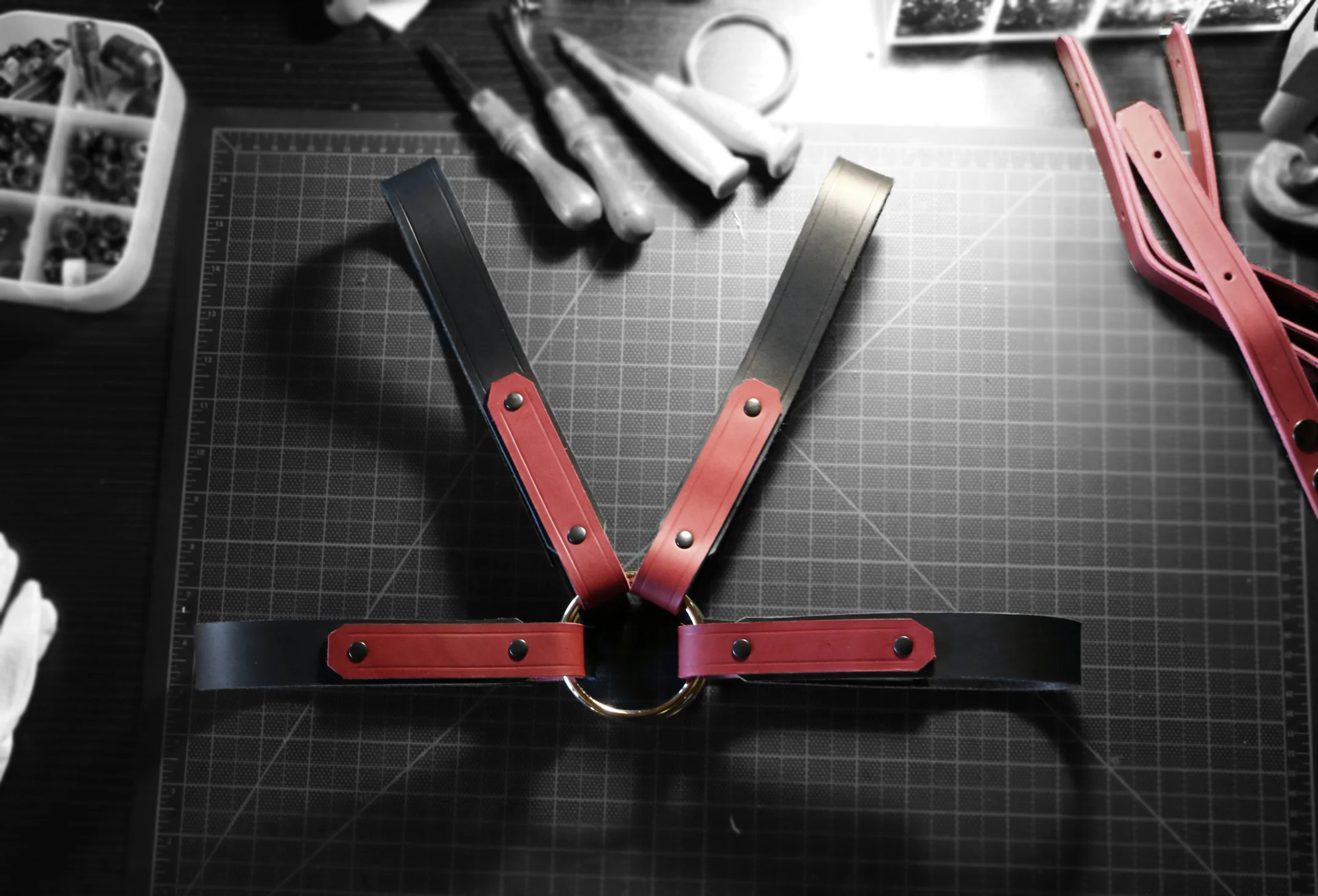 GOVNERS CLASSIC SNAP HARNESS.jpg