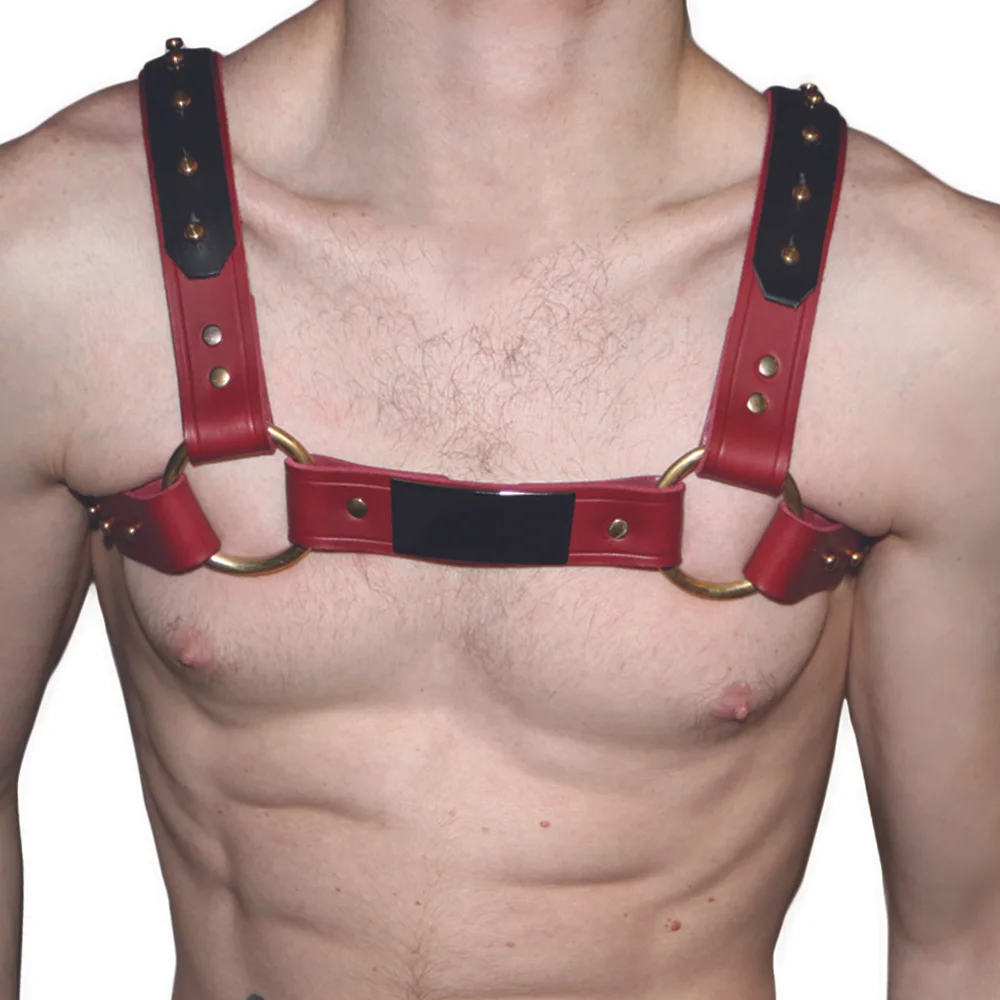 Red+Bulldog+harness.jpg