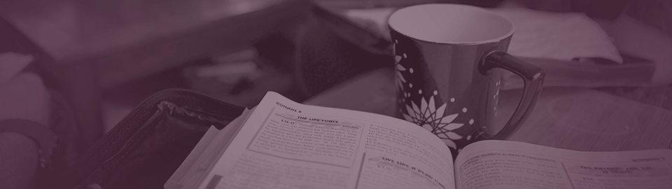 LEARN-960x270.png
