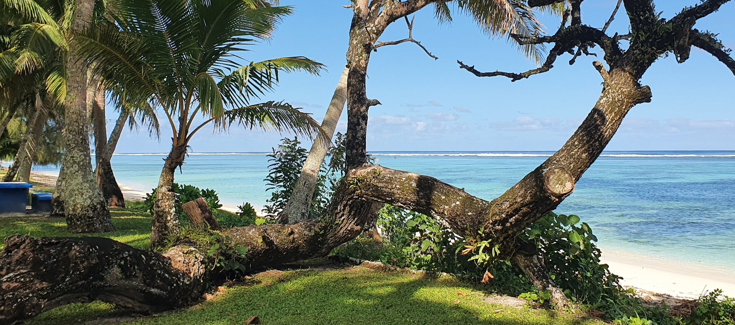 Papaaroa+Beach+through+tree.jpg