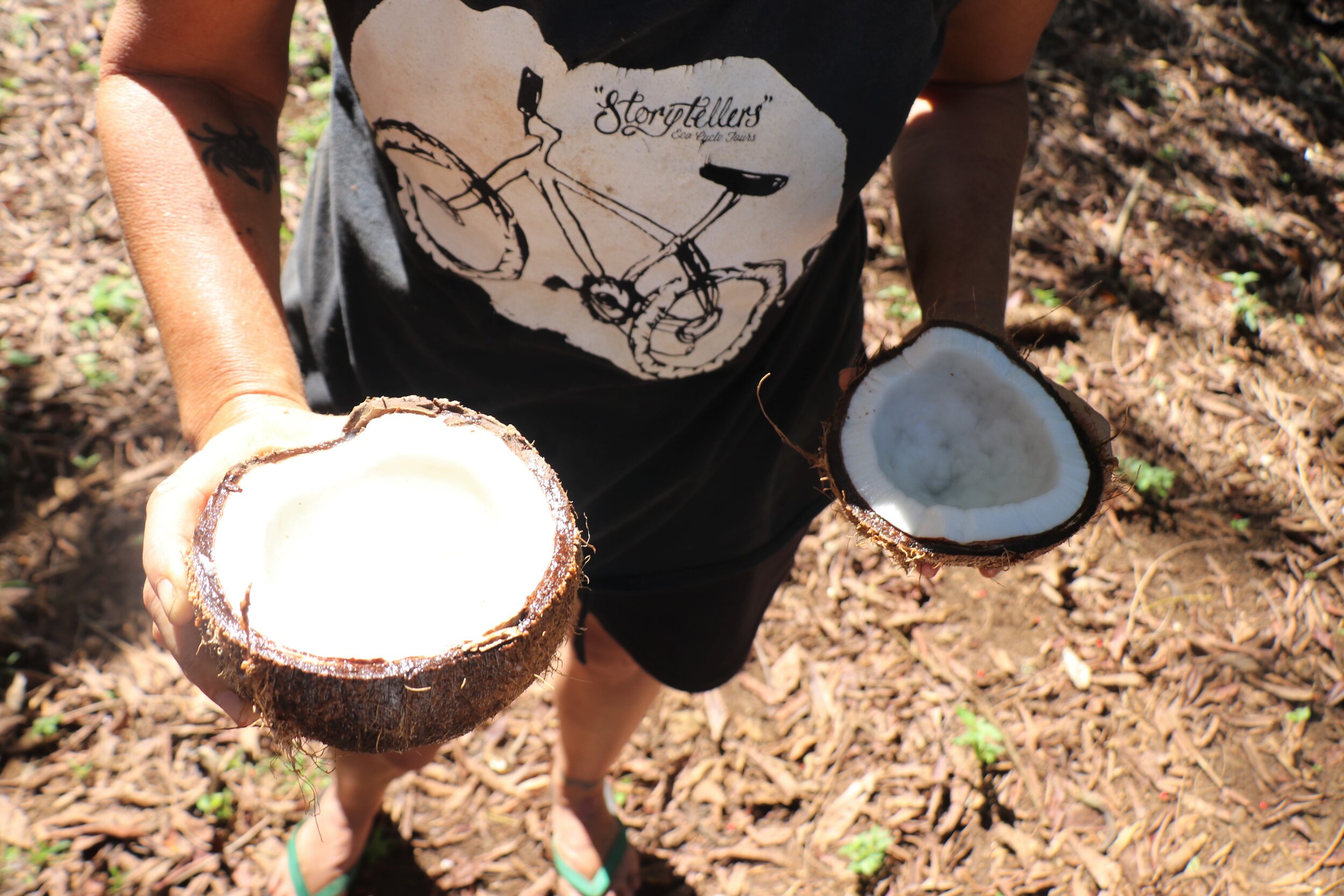 Inside a coconut.jpg