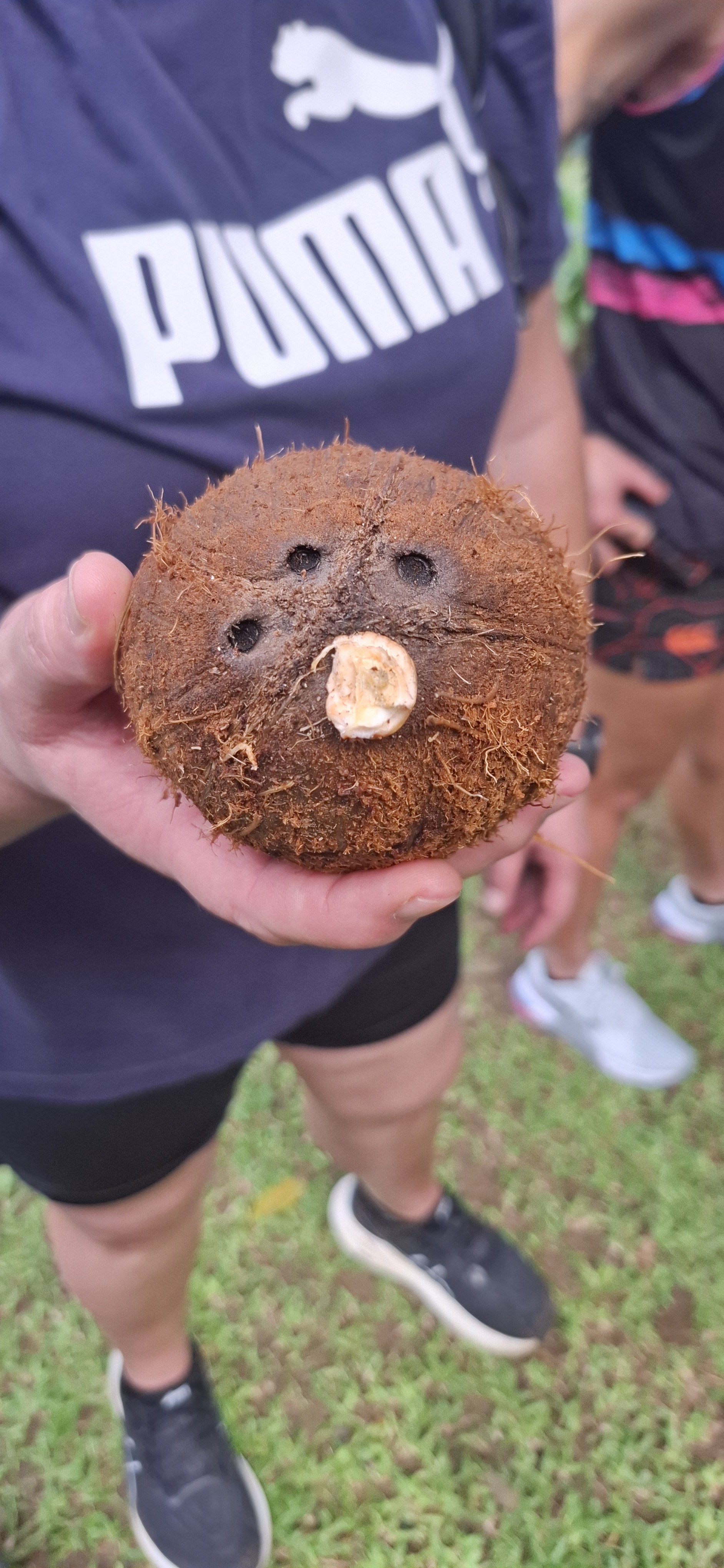 Our second time coming across a coconut with '3 eyes'