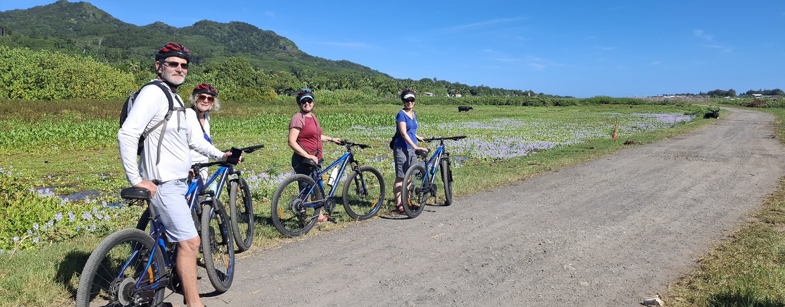 'Lazy Sunday' tour: water lilies in the background 
