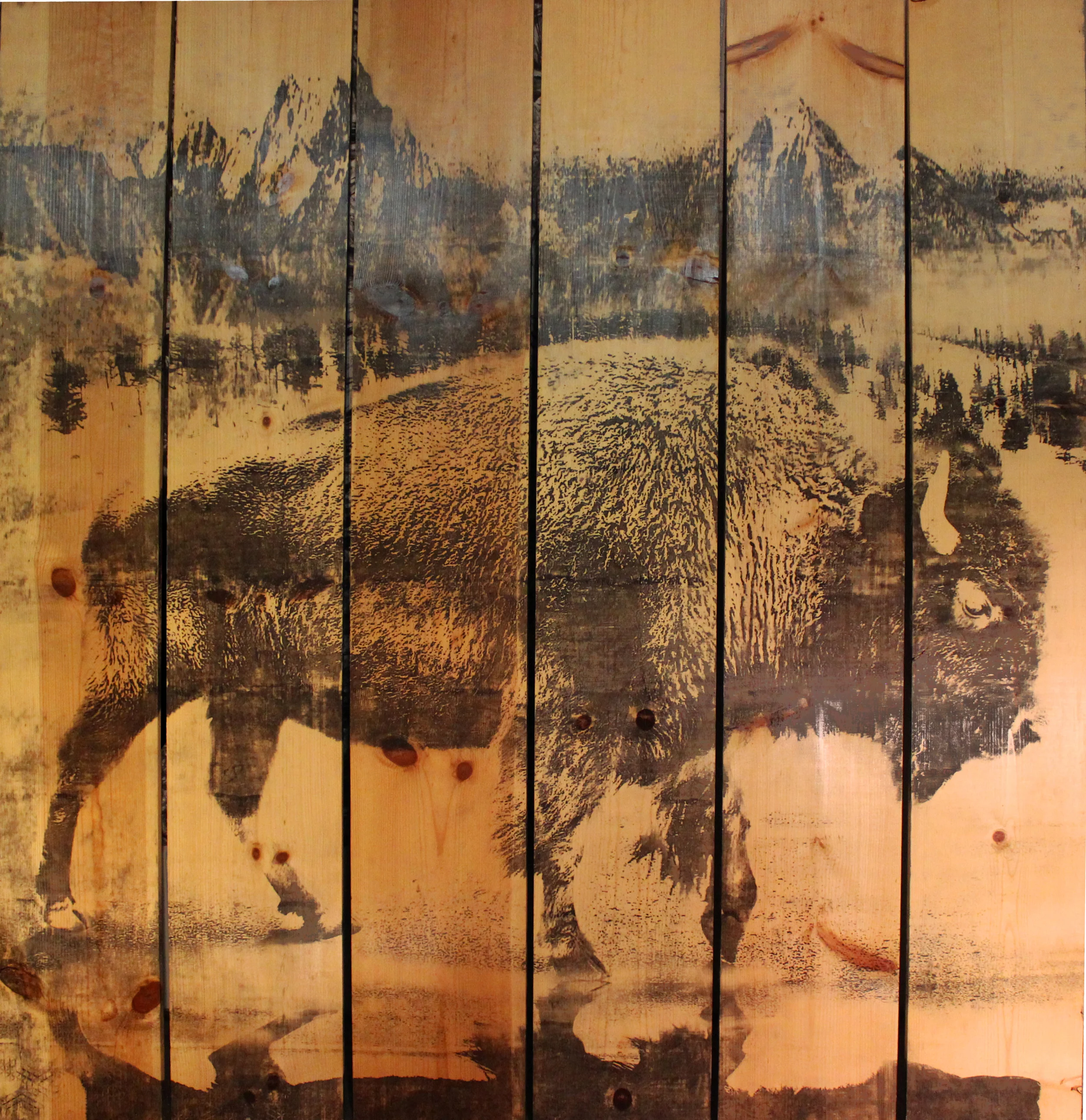 buffalo 6x6.jpg